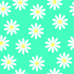 Seamless flower pattern. White daisies on a blue background. Small cute simple spring flowers. Turquoise background. Gift Wrap. Marguerite.