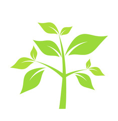 Green plant vector illustration