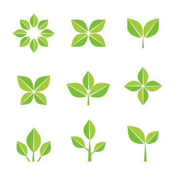 Green leaves symbols and icons