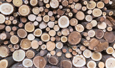 Firewood