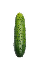 Single cucumber on white
