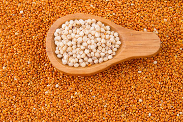 gluten free grains, millet, sorghum and linseed spoon on wooden natural background