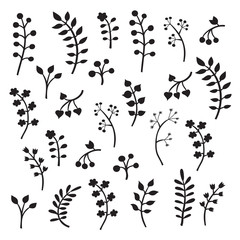 Vector floral collection with leaves and flowers. Spring or summ