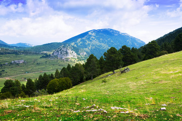 Fototapeta na wymiar landscape with mountain meadow