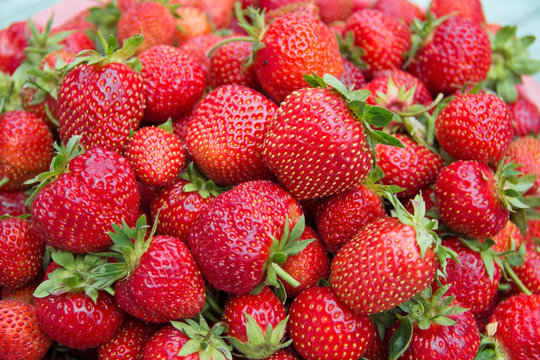 Background from freshly harvested strawberries.