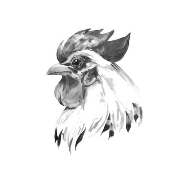 Rooster 2. Black and white illustration