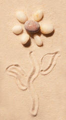 Flower of sea stones drawn on sand. Summer beach background