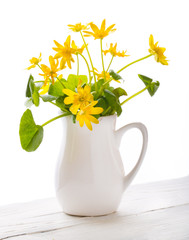 Yellow flowers in a white vase on a white background