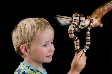 little boy and king snake Over Black Background