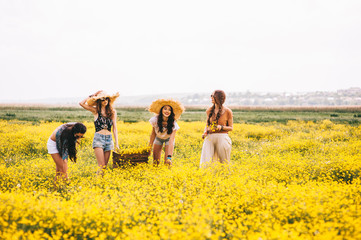 Fototapeta na wymiar four beautiful hippie girl in a field of yellow flowers