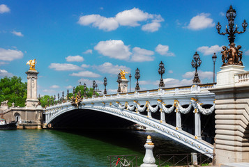 Fototapeta na wymiar Bridge of Alexandre III in Paris, France