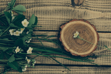 wildflowers arrangement on wood with stump