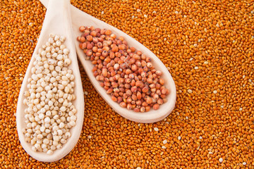 gluten free grains, millet, sorghum and linseed spoon on wooden natural background