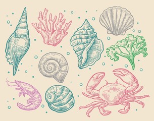 Set sea shell, coral, crab and shrimp.