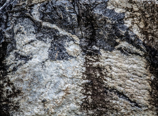 concrete wall texture