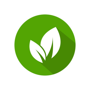 Leaf round green icon.