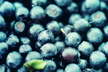 Blueberry food background close up