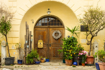 Fototapeta na wymiar Vintage mediterranean garden by the door with potted trees;