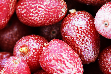 Goji berries frozen background