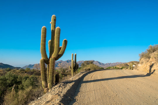 Andean dirt road