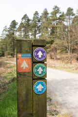 Grizdale forest, England, 06/06/2016, North Face Trail, Cycle bicycle route signs on a wooden post in a forest, with a track disappearing into the distance
