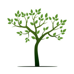 Fototapeta premium Green Tree. Vector Illustration.