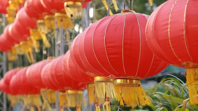 Chinese lantern, for celebrate spring festival.