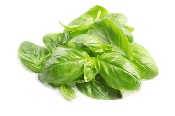 Fresh basil leaves on white background