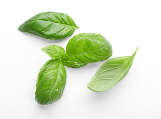 Obraz premium Fresh basil leaves on white background