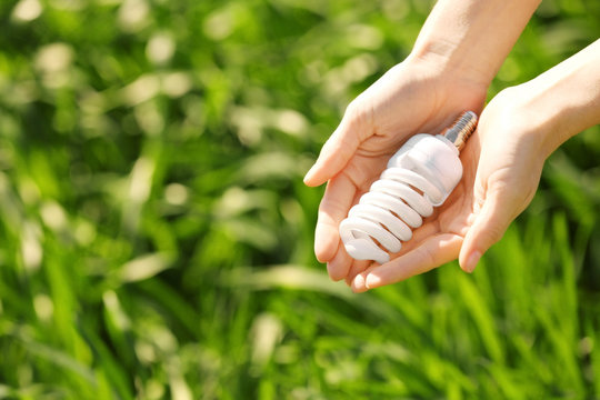 Female hands holding light bulb on the green background