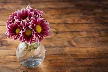 Violet chrysanthemum on wooden table