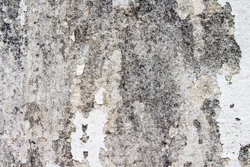 white concrete wall texture