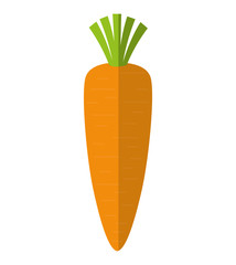 Organic and Healthy food concept represented by carrot icon. isolated and flat illustration 
