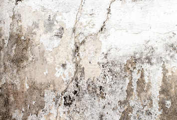 Obraz premium white concrete wall texture