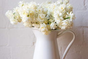 Close up of erlicheer daffodils in white jug against rustic white brick wall (selective focus)