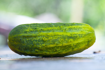 cucumber on the table