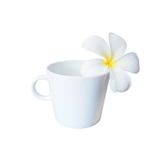 White plumeria flower and empty cup of coffee