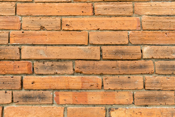 Fototapeta premium old brick wall