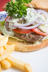 Hamburger with french fries