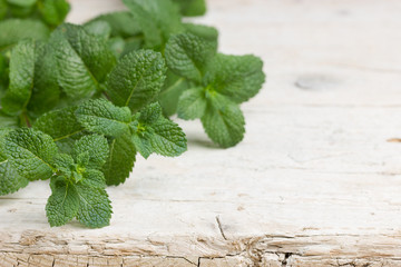 Freshly harvested peppermint on wooden rustic background