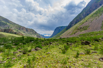 Fototapeta na wymiar In the Altai Mountains