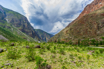 In the Altai Mountains