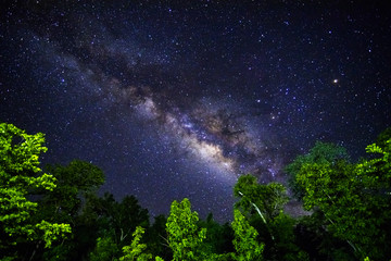 Part of a night sky with stars and Milky Way on equatorial latitude with green tropical trees below