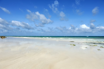 Summer beach and ocean