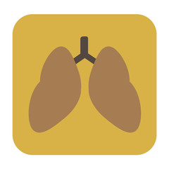 lungs flat icon