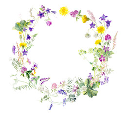 Frame from meadow flowers. Watercolor hand drawing illustration.