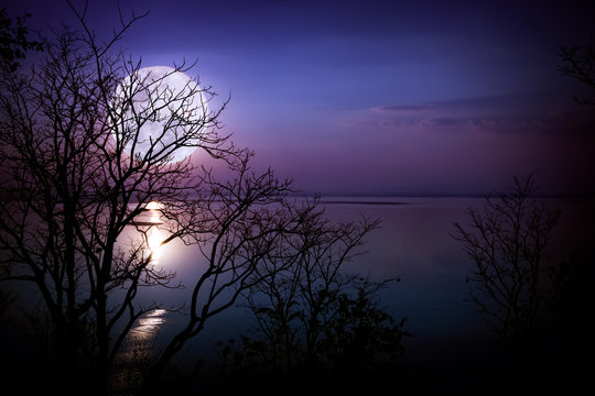 Silhouettes of woods and beautiful moonrise, bright full moon 