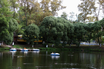Fototapeta na wymiar water pond through the trees in the park