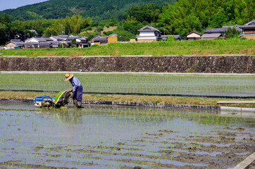 里山の田植えの風景
