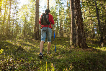 man walks in the woods with a backpack on sunset background